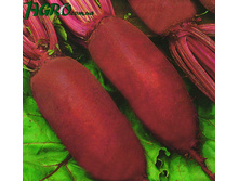 �ף��� ���� ���������,(��) 4,20 ���. [���.13000076]