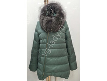 15960.jpg   7500�.