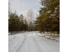 1-IMG 20151129 115926.jpg