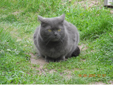 ����������� 006.jpg