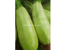 ������� ���������� 37������-������� 10�� ,(��)3,50 ���. [���.5000033]