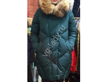 50868 (1).jpg   7800�.