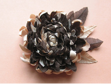 ����������� ���������� "�������� �������"