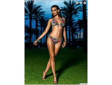 ��������� ������� WMK061407 Elect.png