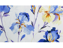 ������� ����������� ����� � ������� Mo*nti, 140, �����, ������ 280 ��, 1845 ��� ����