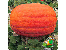 ����� ������ ����� 16,39 ���.