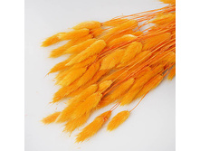 ���������. �������� ��������� 180�.jpg