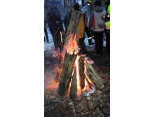 IMG 20151115 160342.jpg