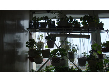 ������������� ������� � ������������ ������