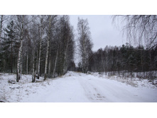 ������ � ��������� �����