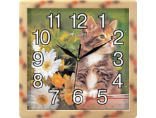 377  ���� 235 ���.