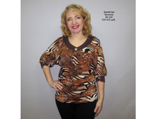 �1685 ����������.