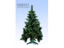 ��� "����� "������" ������������ ��� ����, ������� ������ 120 ��