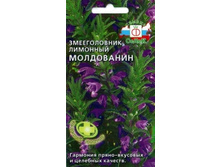 Zmeegolovnik moldovanin.jpg