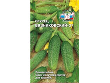Vyaznikovskiy 37.jpg