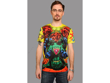 ���� �������: ����-����-0007