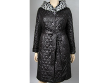 333003	������ ������