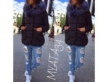 2730 ��� �=42, ��=44, ���=46, �������� �� ���������, ��� �������������, ����� 79��.jpg