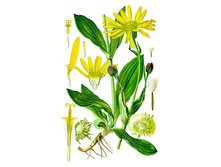 ������ ������, ������, 20�. ���� 325 ���