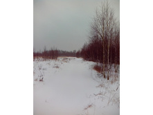 IMG 20151120 095906.jpg