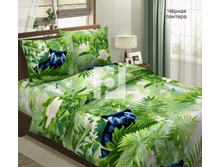 ������ �������