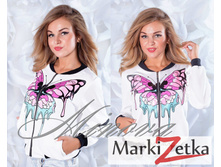 ����� 1285 ����