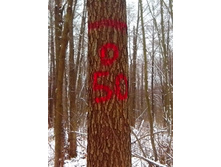 IMG 20151116 133305.jpg