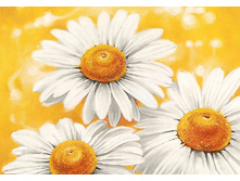 ������ ������� 19*27 ag4646 - 585 ���.