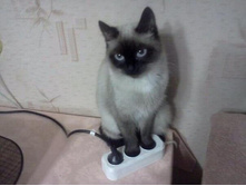 ���� �� �������