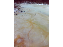 IMG 20151116 135113.jpg