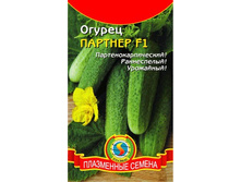 ������ ������� F1, 12,10 ��� + ���.����