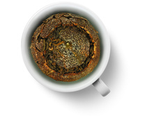 ���� � ���������