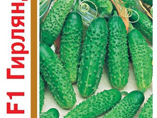 ������ �������� F1(1+1) ������ 23,54 ���.. [���.10000676]