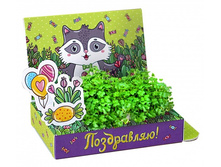 ���������� ����� ����� �������� ����������!.����	113	���