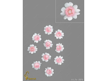 Vl26005-00076 VL26-005 �������.jpg