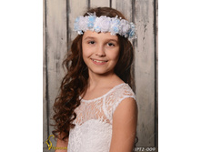 IPT2009-00016 IPT2-009   250�.