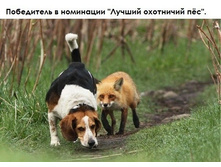 ���������� � ��������� "����� ������ ��������� У�"