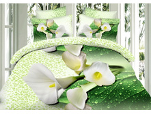 ����� �� �������.jpg