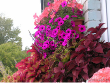 DSCN5122-1.JPG