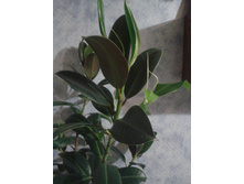 2015-11-01 21.42.50.jpg
