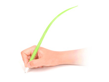 100� ���-�����