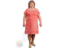 ������ ������� "�����"