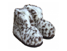 ���� ��������