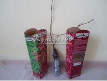 �������� ������������ 150.00 ���.