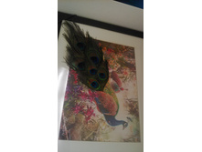 IMG 20151020 102337.jpg