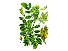 �������� �������, �����, 50�. ���� 225 ���