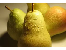 �����. ������������ ����� ��� ���� "���� �������".���� 400�