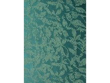 ��a��� ������ ������ �����.JPG