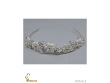 IPC7-012 IPC7012-40A12  210�.