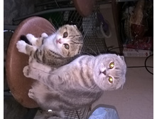 WP 20151101 14 04 17 Pro.jpg